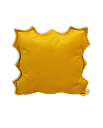 Sunshine Cushion (50*50)