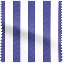 King Stripe ☀️☂️