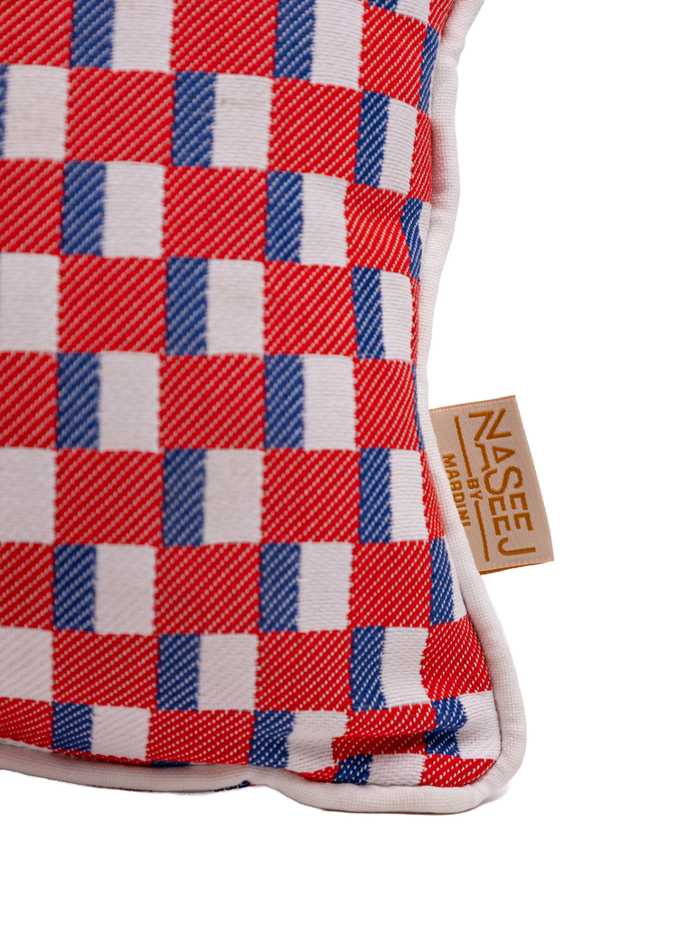 Stanley (P) Cushion ☀️☂️