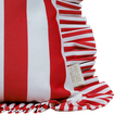 Ceaser Cushion ☀️☂️