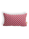 Stanley (P) Cushion ☀️☂️