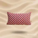 Stanley (P) Cushion ☀️☂️