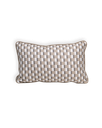 Stanley (P) Cushion ☀️☂️