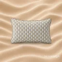 Stanley (P) Cushion ☀️☂️