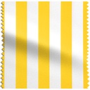 King Stripe ☀️☂️