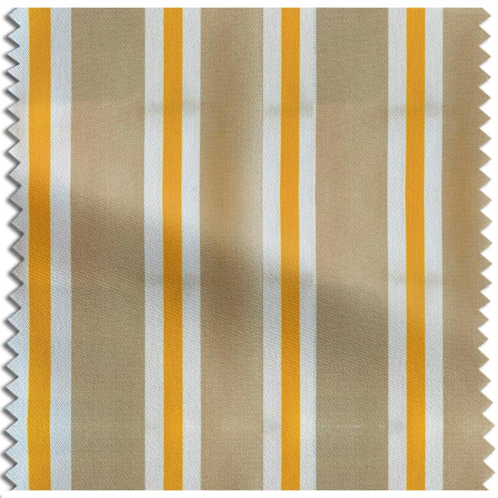 Empress Stripe ☀️☂️