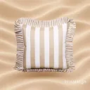 Ceaser Cushion ☀️☂️