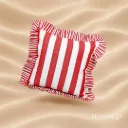 Ceaser Cushion ☀️☂️